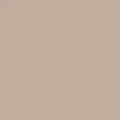 Beige color swatch, matte finish, labeled “sand pant 7529” in sans-serif font, minimalist composition with uniform color and seamless background.